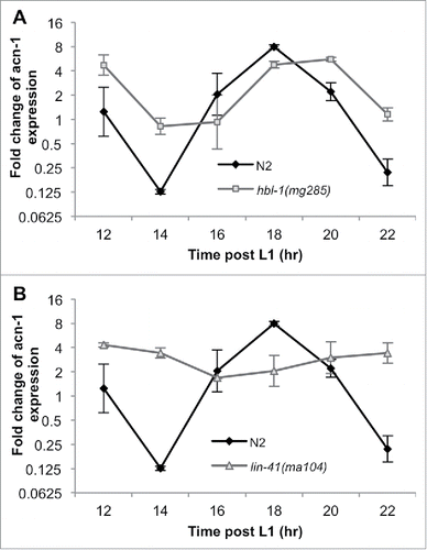 Figure 3. lin-41 influences acn-1’s oscillating expression pattern. (A and B) qRT-PCR of acn-1 mRNA from wild-type (N2) nematodes shows oscillating expression. These time points cover the period between early L2 and early L3 (the L2/L3 transition takes place between 18 and 20 hrs post-L1.) (A) hbl-1(mg285) mutation led to a slight rightward phase shift in the oscillation of acn-1 expression but no significant differences in any oscillation parameters, while (B) lin-41(ma104) mutation significantly dampened the amplitude of acn-1’s oscillations.