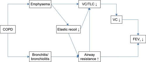 Figure 4 Pathophysiology of emphysema.