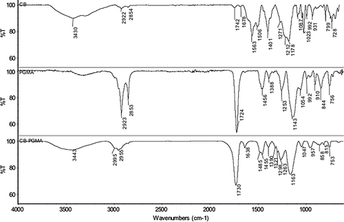 Figure 3. FTIR spectrum of CB, PGMA, and CB-PGMA nanobeads.