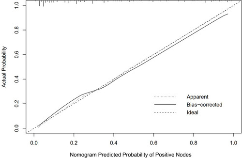 Figure 3 Calibration plot for WCH novel nomogram predicting LNM.