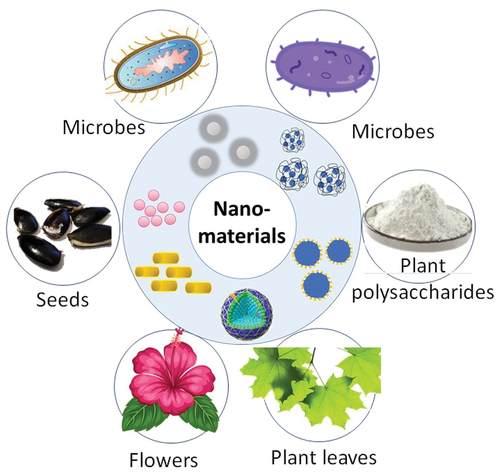 Figure 6. Green methods for the synthesis of nanoparticles.