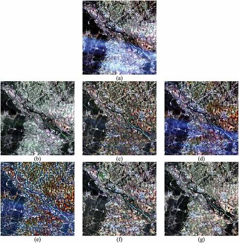 Figure 9. Comparison of recovered results in the fifth real data: (a) thin cloud image; (b)–(f) recovered results from HOT, HTM, TDCP, SpA-GAN, and the proposed method; (g) cloud-free image acquired temporally adjacent to (a).