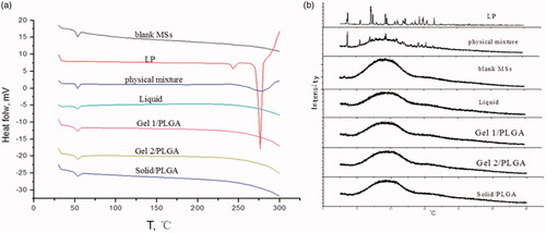 Figure 3. DSC thermograms (a) and XRPD patterns (b) of blank microspheres. LP: physical mixture and LP-MSs.