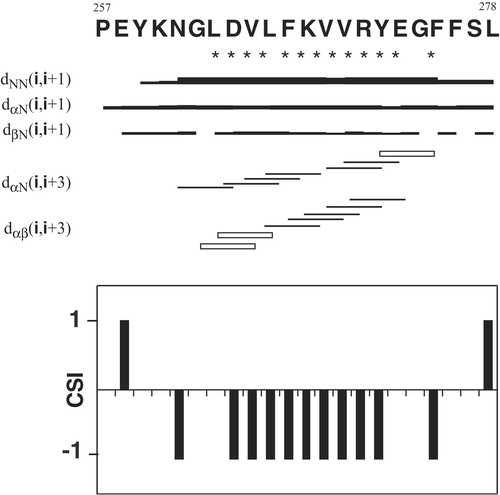 Figure 5. Summary of sequential and medium-range NOEs observed for peptide P257-L278 in 80% TFE at 25°C. The thickness of lines is related to the intensity of NOEs. Open bars indicate overlapping peaks. Asterisks under the amino acid one-letter codes indicate apparent 3JαH-NH coupling constants of non-Gly residues <6.0 Hz. Chemical Shift Index (CSI) of αH protons are shown below the bar diagrams. Negative values indicate a helical conformation.