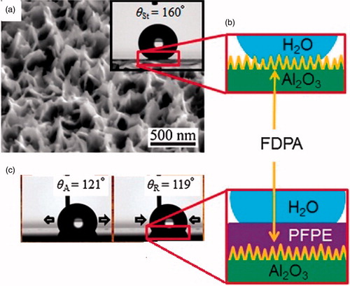 Figure 2. (a) SEM picture of textured alumina and contact angle of water droplet on FDPA-modified surface (inset). (b) Representation of wetted Wenzel state. (c) Water contact angle on the textured FDPA-alumina infiltrated with PFPE. Reprinted with permission from ref. [Citation15].