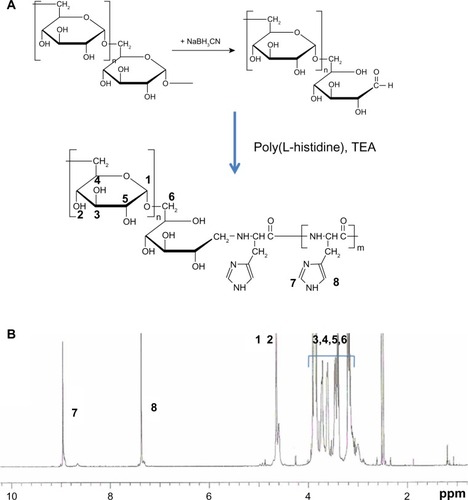 Figure 1 Synthesis scheme (A) and 1H nuclear magnetic resonance spectra (B) of DexPHS block copolymer.Abbreviations: DexPHS, dextran-b-poly(L-histidine); TEA, triethylamine.