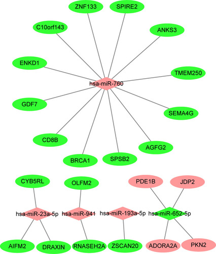 Figure 5 MiRNA-mRNA regulatory network was analyzed using Cytoscape software. Diamond-shaped represents miRNAs, and circular nodes represent target genes. Red, up-regulated miRNA or mRNA; green, down-regulated miRNA or mRNA in active tuberculosis subjects.