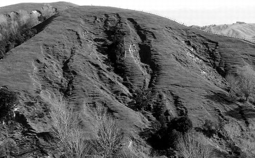 Figure 1  The south-facing (shady) hillslope in the study catchment. Extensive areas of soil slipping are a feature of this landscape and hillslopes have a complex pattern of different-aged soil slip erosion scars.