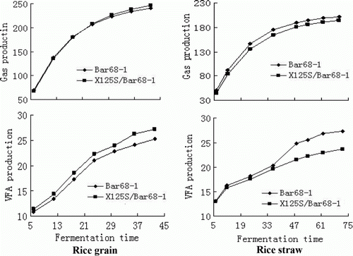 Figure 1.  Gas (mL/g DM) and VFA (mM/L) production of incubated grain and straw of genetically modified rice (Bar68-1) and its hybrid generation (X125S/Bar68-1) in rumen fluid/buffer media for up to 42 and 70 h, respectively.