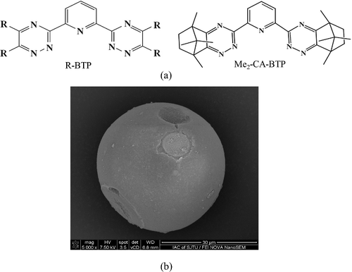 Figure 1. Chemical structure of R-BTP and Me2-CA-BTP (a) and SEM image of Me2-CA-BTP/SiO2-P (b).
