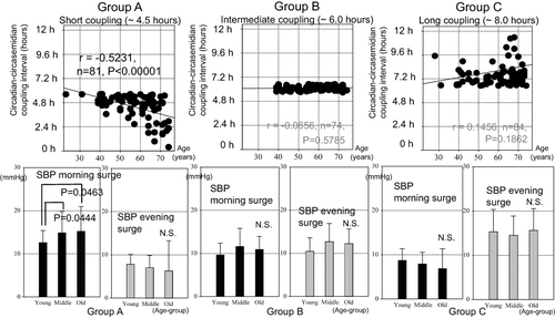 Figure 6 Effect of age on circadian-circasemidian coupling interval of SBP (top) and extent of morning and evening SBP surge (bottom) in Groups A, B and C. Top: The circadian-circasemidian coupling interval of SBP becomes even shorter with advancing age in Group A, and it tends to become even longer with advancing age in Group C, thereby exacerbating the morning or evening SBP surge. By contrast, there is no change with age in the circadian-circasemidian coupling interval of SBP in Group B. Bottom: Participants of each Group were further subdivided into three age groups: Young (<50 years), Middle-aged (50~65 years) and Old (>65 years). Whereas there was no significant change in evening SBP surge as a function of age in any of the three groups, the morning SBP surge increased in middle-aged (P = 0.0444) and elderly (P = 0.0463) as compared to young participants, observed only in Group A (bottom left).