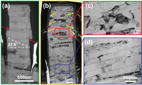 Figure 4. Representative TEM images of post-compression RGO–Al composite pillars. (a) and (b) show the morphologies of the entire pillars with diameters of 0.5 and 3.5 µm, respectively. (c) and (d) are magnified renditions of the regions boxed in (b). The localized shear fracture was indicated by red arrows in (a), while the extrusion of Al layer was indicated by yellow arrows in (b).