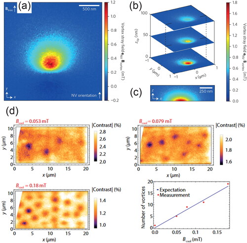 Figure 10. (a) Image of the magnetic stray field from a single vortex obtained with the NV magnetometer. (b) 3 D reconstruction of the vortex obtained as in (a). (c) Vertical scan through the vortex stray field in the x−z plane indicated in (b). Reproduced with permission from Thiel et al., Nat. Nanotechnol 11, 677 (2016). Copyright 2016 Springer Nature. (d) Three images of vortices that were taken for different magnetic fields presented during the cooling process. An increase in the number of vortices can be observed when the field is increased. The observed number of vortices agreed excellently with the expected number of vortices. Reproduced with permission from Schlussel et al., Phys. Rev. Appl. 10, 034032 (2018). Copyright 2018 American Physical Society.