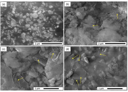 Figure 5. SEM pictures of the samples sintered at 800°C; (a) G55, (b) G55-2.5 hBN, (c) dry-pressed G55-5 hBN and (d) tape-casted G55-5 hBN