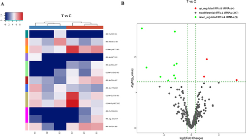 Figure 2 Differentially expressed tsRNAs between sarcoidosis and control samples. (A) Heat map and hierarchical clustering analysis of differentially expressed tsRNAs between sarcoidosis and control samples. (B) The volcano plots of differentially expressed tsRNAs. The green line shows the default 1.5-fold change. The red and green plots indicate the significantly upregulated and downregulated genes, respectively (fold change ≥ 1.5, P < 0.05).