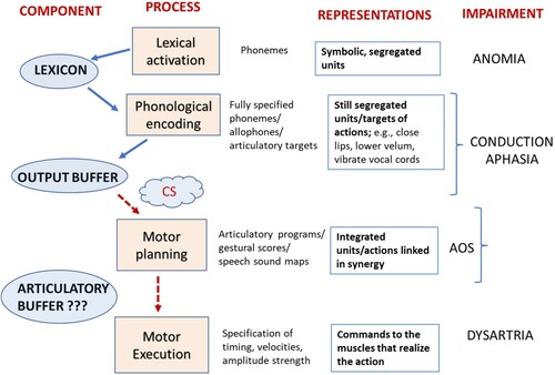 Figure 1. Schematic model of speech production. Alternative terminology is shown for the representations involved at different stages to allow integration with current literature. The model shows hypothesized deficit of CS in terms of slow transfer on information and consequences for further stages. These consequences should be ameliorated with preparation if articulatory programmes can be buffered.