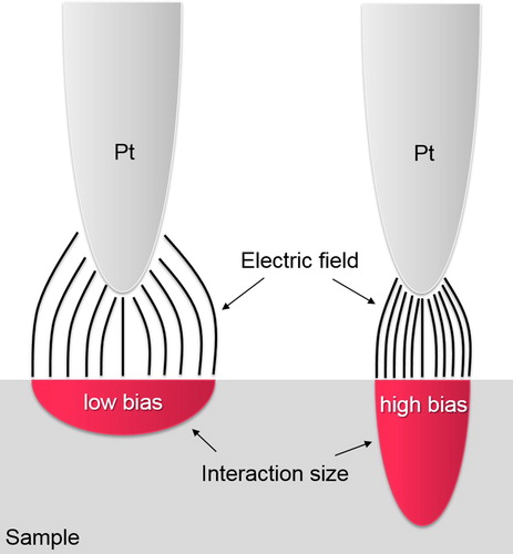 Figure 8. Schematic illustrating the pit-sample interactions with two different bias voltages applied.