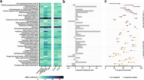 Figure 6. Presence and transcription of common viral ORFs including lysogenic proteins on Caudovirales VCs. (a) The frequency of common viral genes (≥10%) present on complete and high-quality Caudovirales VCs based on contig source and between IC-VCs and NI-VCs. ORF counts were normalized by contig length. (b) Integration likelihood ratios of based on presence of each gene family. (c) Proportion of genes transcribed in IC-VCs and NI-VCs, sorted by difference.