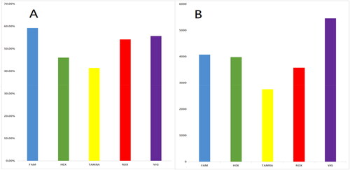 Figure 13. Results of peak balance for Canine 25 A kit: A) peak height ratios of the minimum RFU to the maximum RFU for loci marked with the same fluorescent dye, B) the average RFU values of each group of loci marked with five different fluorescent dyes.