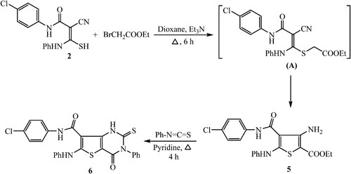 Scheme 2. Synthesis of 4-amino-5-ethoxycarbonyl-thiophene analogue 5 and its congruous theino[3,2-d]pyrimidine derivative 6.