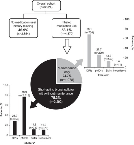 Figure 3 Inhaled medication history (in the 12 months prior to the index date) of patients based on inhaler type.a