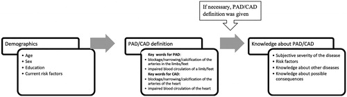 Figure 1. Principal scheme of the interview. CAD: coronary artery disease; PAD: peripheral artery disease