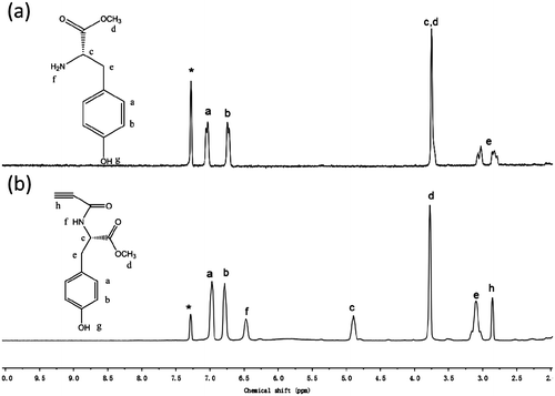 Figure 2. 1H NMR spectra in CDCl3 solutions of l-tyrosine methyl ester (a) and N-propioloyl-l-tyrosine methyl ester (b). The resonance peaks of the residual nondeuterated solvents, water dissolved in the deuterated solvents, and TMS are marked with asterisks.