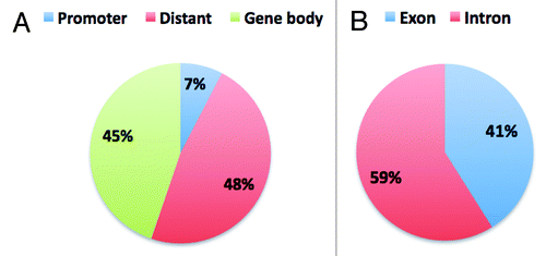 Figure 6. Distribution of CpG10 in genome and in gene body. A. Shows the overall distribution of CpG10 of Male1 sample in the genome. B. Shows the distribution of gene body associated CpG10.