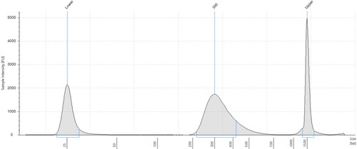 Figure 4. Electropherogram of post-library construction check from the Agilent 2200 TapeStation system for RNeasy extracted sample (Q-C1).