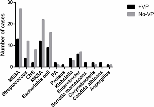 Figure 1 The bacteria cultured in the +VP and No-VP group.