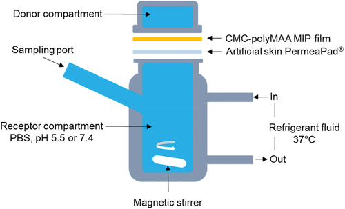 Figure 2. Schematic illustrations of Franz diffusion cell for drug release studies.