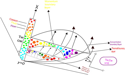 Figure 1. Physical configuration of the problem.