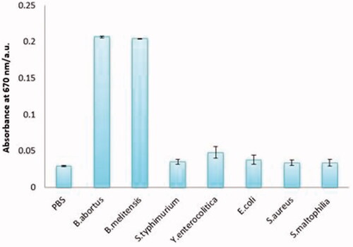 Figure 4. Specificity of the colorimetric immunoassay. From left to right, PBS (0.01 mol mL−1), Brucella abortus 544 (1.5 × 108 cfu mL−1), Brucella melitensis 16 M (1.5 × 108 cfu mL−1), Escherichia coli O:157 (1.5 × 108 cfu mL−1), Salmonella typhimurium (1.5 × 108 cfu mL−1), Yersinia enterocolitica O:9 (1.5 × 108 cfu mL−1), Staphylococcus aureus (1.5 × 108 cfu mL−1), Stenotrophomonas maltophilia (1.5 × 108 cfu mL−1).