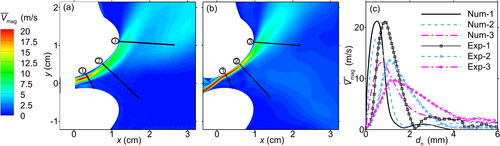 Figure 4. The mean velocity magnitude contours of (a) the PIV velocity measurements and (b) the numerical simulation of the curved-[f] model with a tooth gap height of 0.8 mm at a subglottal pressure of 300 Pa. (c) The comparison of the mean velocity magnitude profiles extracted along three lines normal to the upper lip from the experimental and numerical results, labeled in subfigures (a) and (b) as lines (1), (2), and (3).