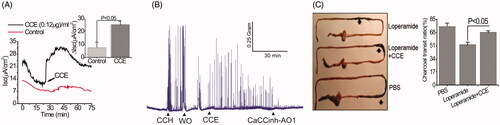 Figure 4. Stimulation of Cl- secretion and smooth muscle contraction by CCE in mouse intestinal tissue. (A) Representative data showing the effect of partially purified CCE on Isc change in wild type mouse (C57BL/6) colonic tissue (n = 4). The inset shows summary data from four independent experiments. Data are means ± S.E. (B) Representative traces showing the effect of CCE on smooth muscle contraction in isolated mouse colon and its inhibition by CaCCinh-A01 (n = 3). (C) Representative image of isolated mouse intestinal tracts showing movement of activated charcoal after oral gavage of PBS (positive control), Loperamide in the presence or absence of CCE. Bar graph showing a summary of the % charcoal transit ratio under the three conditions tested. Data are the means ± S.E of three independent experiments.