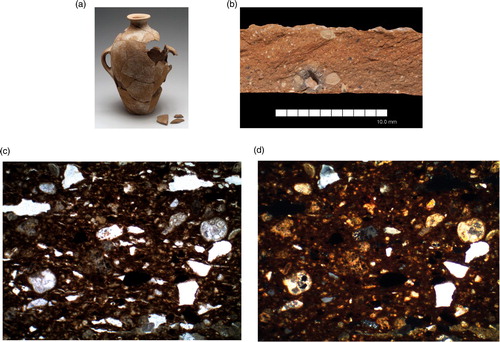 Figure 7 Imported pottery from Giza tombs: petrography Group 3 — calcareous, less iron-rich with foraminifera, Fabric P202. Exemplar — Sample 3, Combed jar (MFA 37.2729), Tomb G 5020 Annex A, early-mid 4th Dynasty.a. MFA 37.2729 (photo © 2019 Museum of Fine Arts, Boston, photo K. Sowada).b. Sherd fracture (photo K. Sowada).c. Thin-section at plane-polarized light (PPL), 100x magnification (micrograph M. Ownby).d. Thin-section at cross-polarized light (XPL), 100x magnification (micrograph M. Ownby).Thin-sections show lack of sand-sized grains, but silt-sized foraminifera middle at far right and lower left.