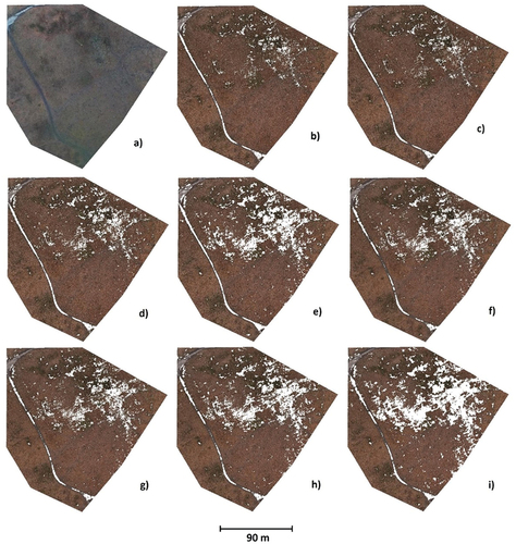 Figure 13. Site 3 “old forest” – – terrain clouds acquired using: a) LiDAR-UAV; b) DAP-UAV (high quality, depth filtering disabled); c) DAP-UAV (high quality, mild depth filtering); d) DAP-UAV – (high quality, moderate depth filtering); e) DAP-UAV (high quality, aggressive depth filtering) f) DAP-UAV (medium quality, depth filtering disabled); g) DAP-UAV (medium quality, mild depth filtering); h) DAP-UAV (medium quality, moderate depth filtering); i) DAP-UAV (medium quality, aggressive depth filtering).