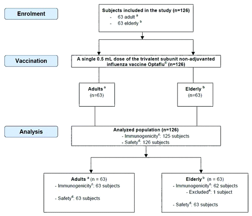 Figure 1. Inclusion and exclusion of subjects. aAdults (≥18–≤60 y); belderly (≥61 y); cimmunogenicity was analyzed as per protocol using HI and SRH assays according to CHMP criteria; dsafety assessment was conducted by collection of any solicited local and systemic reactions and collection of adverse events (adverse events were defined as solicited reactions persisting after day 4 or other than solicited local and systemic reactions reported during the study period); eone subject was not available for visit 3 and was therefore excluded from immunogenicity analysis