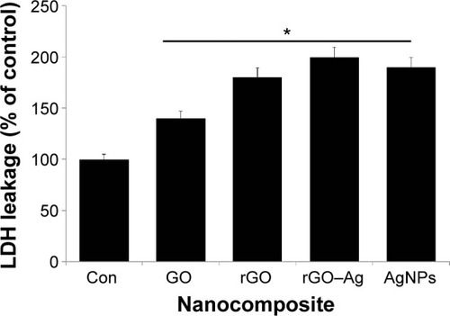 Figure 9 Effect of GO, rGO, rGO–Ag nanocomposite, and AgNPs on the leakage of LDH to culture supernatant of human ovarian cancer cells.Notes: LDH activity is measured at 490 nm using the LDH cytotoxicity kit. The results are expressed as the mean ± standard deviation of three independent experiments. There was a significant difference in the LDH activity of rGO–Ag nanocomposite-treated cells compared to that of the untreated cells by the Student’s t-test (*P<0.05).Abbreviations: Con, control; GO, graphene oxide; rGO, reduced graphene oxide; AgNPs, silver nanoparticles; LDH, lactate dehydrogenase.