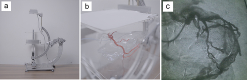 Figure 1 (a) Coronary angiography simulator equipped with light source and white screen. (b) 3D-printed transparent heart model with opaque coronary artery. (c) Result image of the coronary angiography simulator.