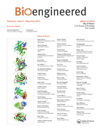 Cover image for Bioengineered, Volume 6, Issue 3, 2015