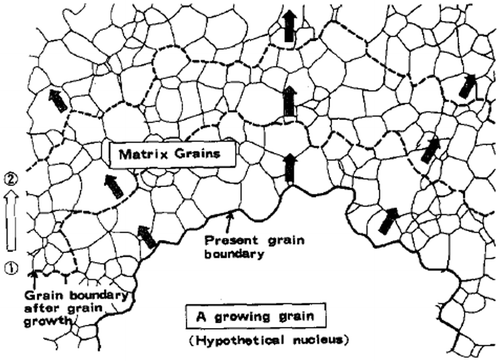 Figure 18. Schematic of a growing grain (hypothetical nucleus) advancing into the stable matrix and forming new grain boundaries in the process [Citation55].