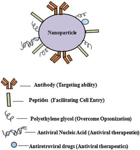 Figure 5. Utility of nanoparticles in anti-HIV therapeutics.
