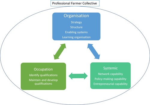Figure 1. Framework: three categories and criteria of the professionalization of farmer collectives.