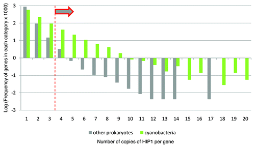 Figure 7 Distribution of HIP1 abundance per gene among cyanobacteria and other prokaryotes. The fraction of genes in each category is calculated as [(observed number of genes having xi number of copies of HIP1) / (total number of genes having copies of HIP1)]. Where xi = 1, 2, … 20. The arrow indicates the cutoff value to search for candidate xenologous cyanobacterial genes in non-cyanobacterial species.