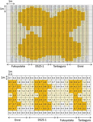 Figure 3. Distribution of measured light intensity as PPFD (μmol m−2 s−1) at ground in one replication in 2017 (upper) and 2018 (lower). The cell of solid orange means PPFD was larger than 2.0 μmol m−2 s−1.