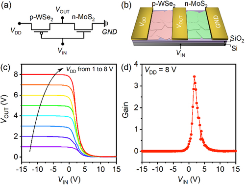 Figure 4. Solution-processed complementary metal-oxide-semiconductor (CMOS) inverter. (a) Circuit diagram of the CMOS inverter. (b) Schematic of a CMOS inverter with p-WSe2 and n-MoS2 channels. (c) Voltage transfer characteristics of the CMOS inverter as a function of the input voltage with different VDD values from 1 to 8 V. The FeCl3-doping concentration for p-WSe2 is 60 µg/mL. (d) Corresponding gains of the inverter from c at VDD = 8 V.