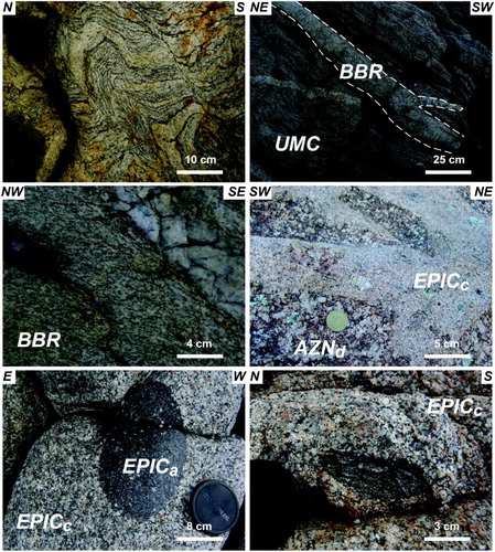 Figure 3. (a) migmatitic orthogneiss derived from Ordovician protholith; (b) ductile contact between late Mississippian granodiorite (BBR) and metatexite (UMC); (c) detail of magmatic to sub-magmatic foliation in BBR granodiorite; (d) brittle, ‘cold’ contact between a Permian fine-grained monzogranite (EPICc) and the southern margin of the Arzachena pluton (AZNd); (e) micro-granular, mafic enclave (EPICa) enclosed within a coeval Permian sub-alkaline granite (EPICc); f) metamorphic xenolith partly trapped within Permian monzogranite (EPICc).