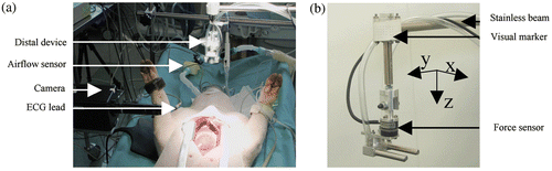 Figure 3. The experimental setup with the custom stabilizer and a close-up on the distal device. [Color version available online.]