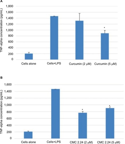 Figure 4 (A) Effect of curcumin on levels of TNF-α secreted by human monocytes. Human peripheral blood-derived monocytes (1×106 cells/well) were cultured in serum-free media (37°C, 5% CO2/95% O2, 18 hours) with LPS (50 ng/mL) and with or without curcumin (2 or 5 µM). Conditioned medium was analyzed for TNF-α using ELISA. (B) Effect of CMC 2.24 on levels of TNF-α secreted by human monocytes. Human peripheral blood-derived monocytes (1×106cells/well) were cultured in serum-free media (37°C, 5% CO2/95% O2, 18 hours) with LPS (50 ng/mL) and with or without CMC 2.24 (2 or 5 µM). Conditioned medium was analyzed for TNF-α using ELISA. The * denotes that the difference is statistically significant with P<0.05.